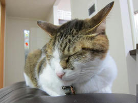 IMG04525.jpg