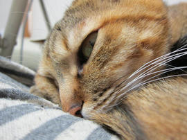 IMG04527.jpg