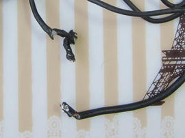 IMG04529.jpg