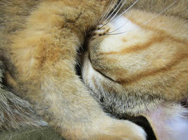 IMG04532.jpg