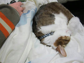 IMG04533.jpg