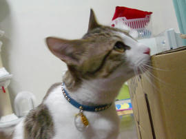 IMGP10604.jpg