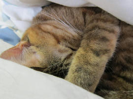 IMG04534.jpg