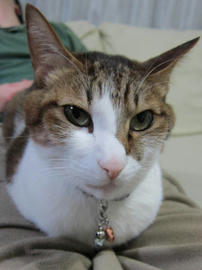 IMG04538.jpg