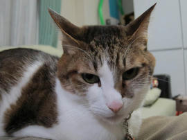 IMG04539.jpg