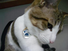 IMGP10610.jpg
