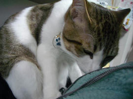 IMGP10612.jpg