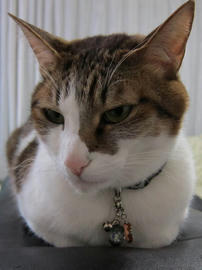 IMG04540.jpg