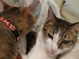 IMG01345.jpg