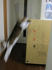IMG04542.jpg