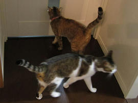 IMG01349.jpg