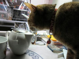 IMG04543.jpg