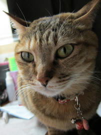 IMG04545.jpg