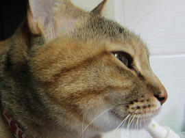 IMG04546.jpg