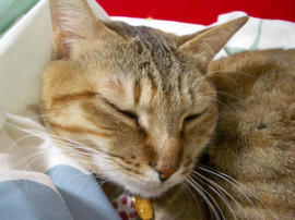 IMGP13340.jpg