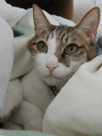 IMG04551.jpg