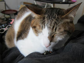 IMG04552.jpg