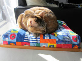 IMG04553.jpg