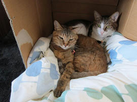 IMG04558.jpg