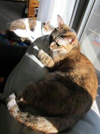IMG04562.jpg
