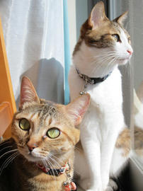 IMG04566.jpg