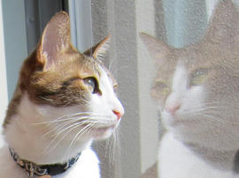 IMG04567.jpg