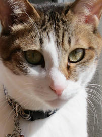 IMG04568.jpg