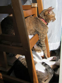 IMG04569.jpg