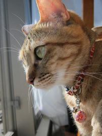 IMG04573.jpg
