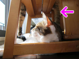 IMG04574.jpg