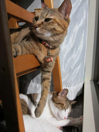 IMG04575.jpg
