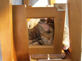 IMG04578.jpg