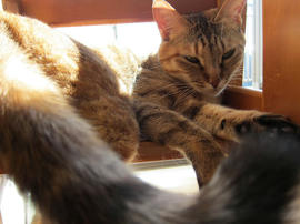 IMG04580.jpg