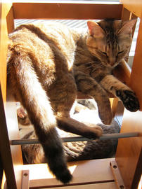 IMG04581.jpg