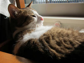 IMG04584.jpg