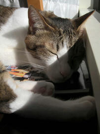 IMG04589.jpg