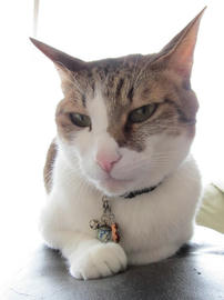 IMG04591.jpg