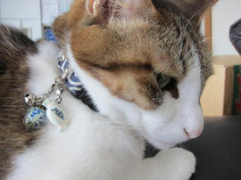 IMG04593.jpg