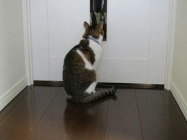 IMG04595.jpg