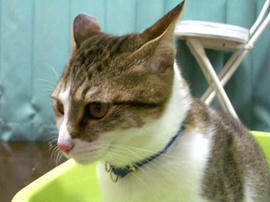 IMGP10699.jpg