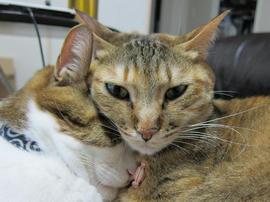 IMG04601.jpg
