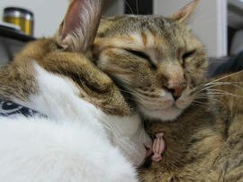 IMG04602.jpg
