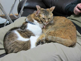 IMG04603.jpg
