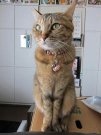 IMG04605.jpg