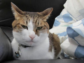 IMG04607.jpg