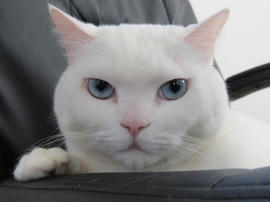 IMG04612.jpg