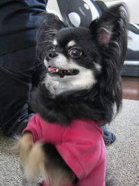 IMG04622.jpg