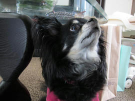 IMG04623.jpg