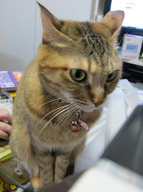 IMG04628.jpg