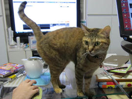 IMG04630.jpg
